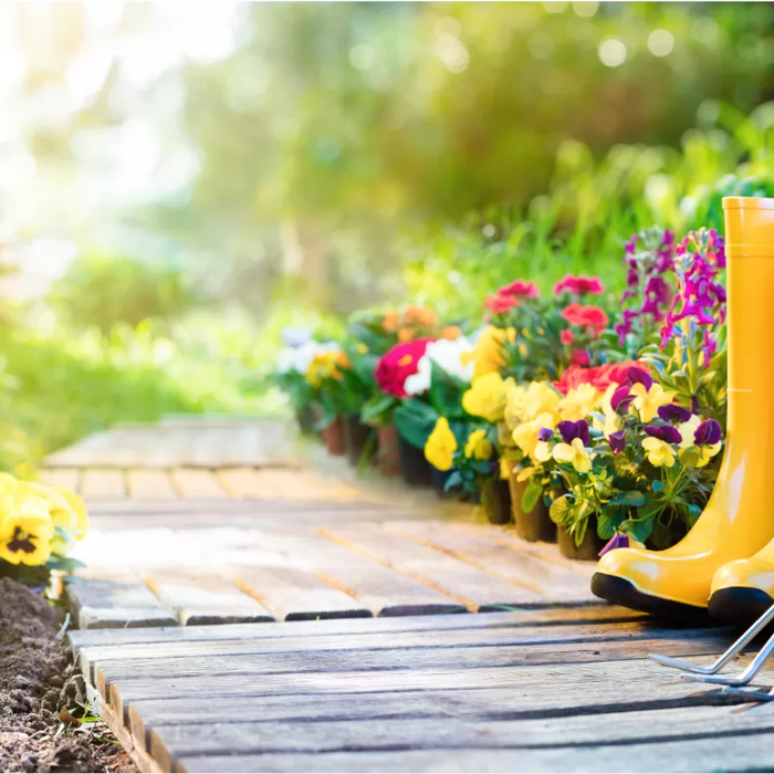 Get one in Your Backyard!