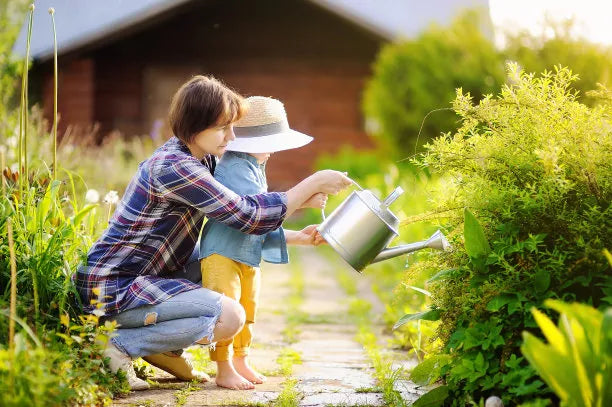 Home & Garden