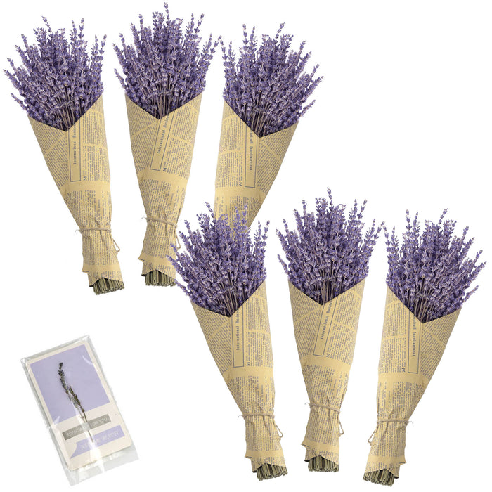 Natural Dried Lavender Flowers Bouquet for Home Decoration Wedding