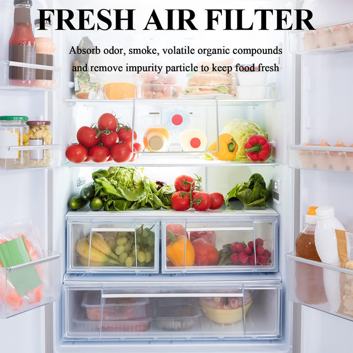 LT120F Refrigerator Air Filter Replacement