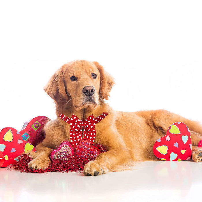 Holiday Cute Pet Bowtie Dog Collars with Red Polka Dot