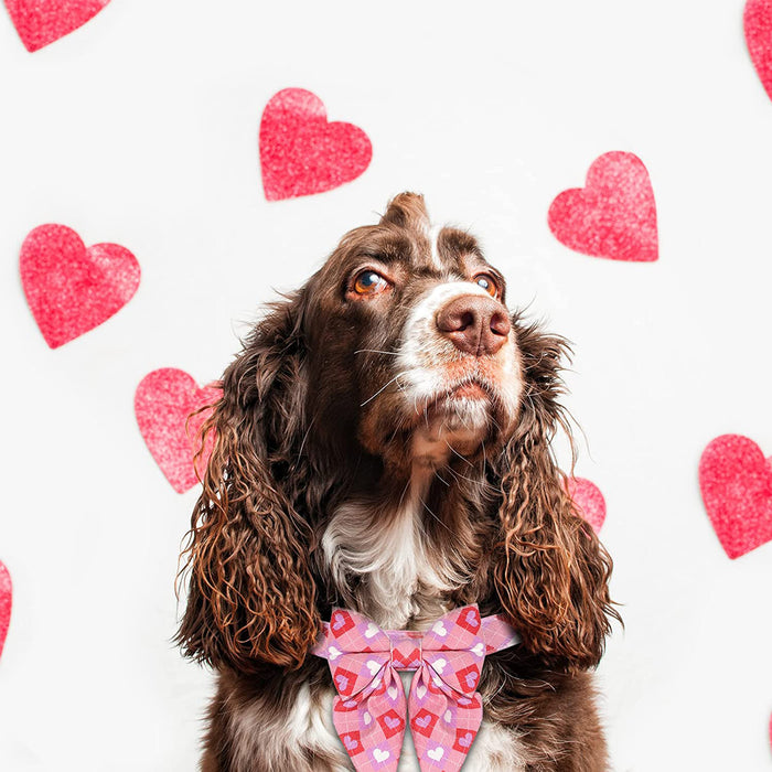 Pet Dog Collar with Pink Heart Bowtie