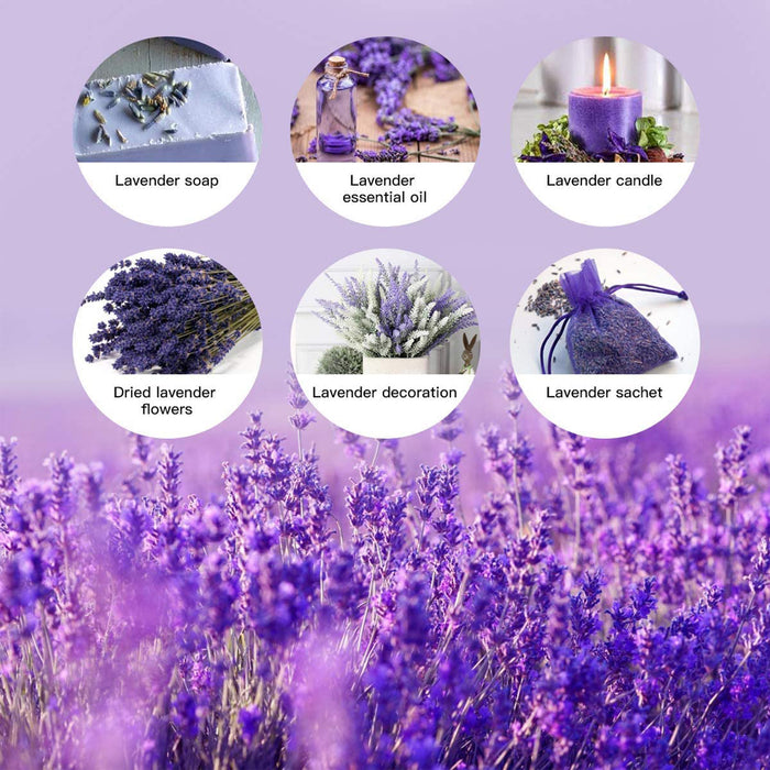 Natural Dried Lavender Flowers Bouquet for Home Decoration Wedding